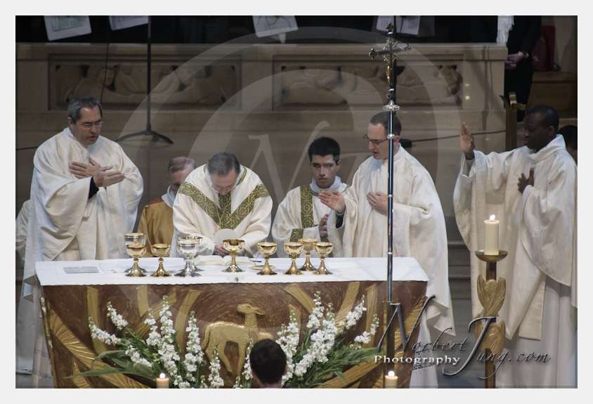 Nom de l'image : D3s066067a_(c)Norbert-Jung.com — Description :