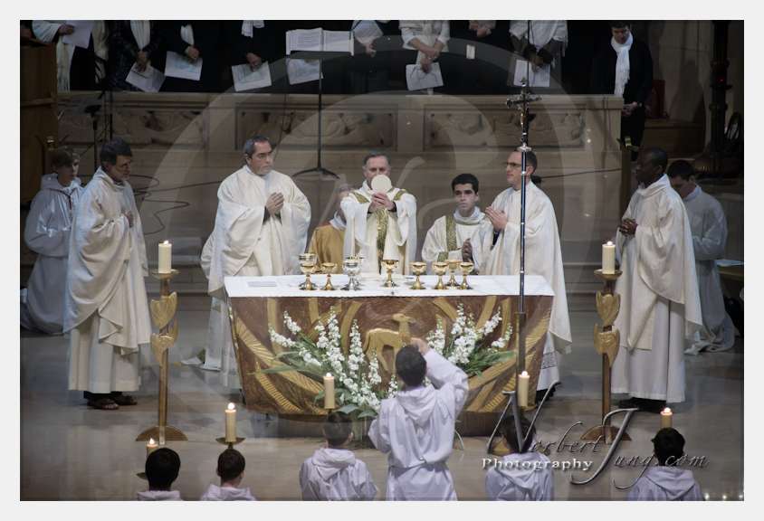 Nom de l'image : D3s066068a_(c)Norbert-Jung.com — Description :