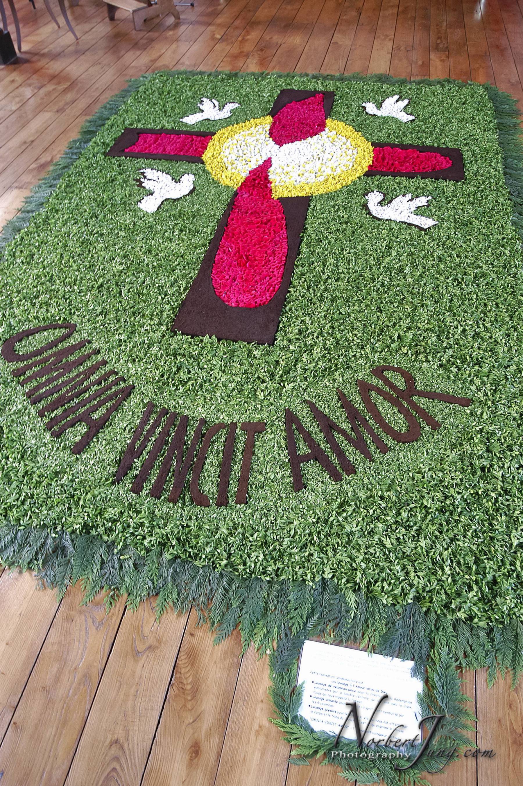 Nom de l'image : D1144136-01a_(c)www.Norbert-JUNG-com-Photographe — Description :