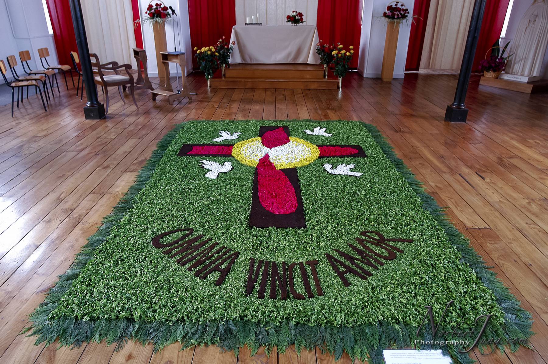 Nom de l'image : D1144138-01a_(c)www.Norbert-JUNG-com-Photographe — Description :