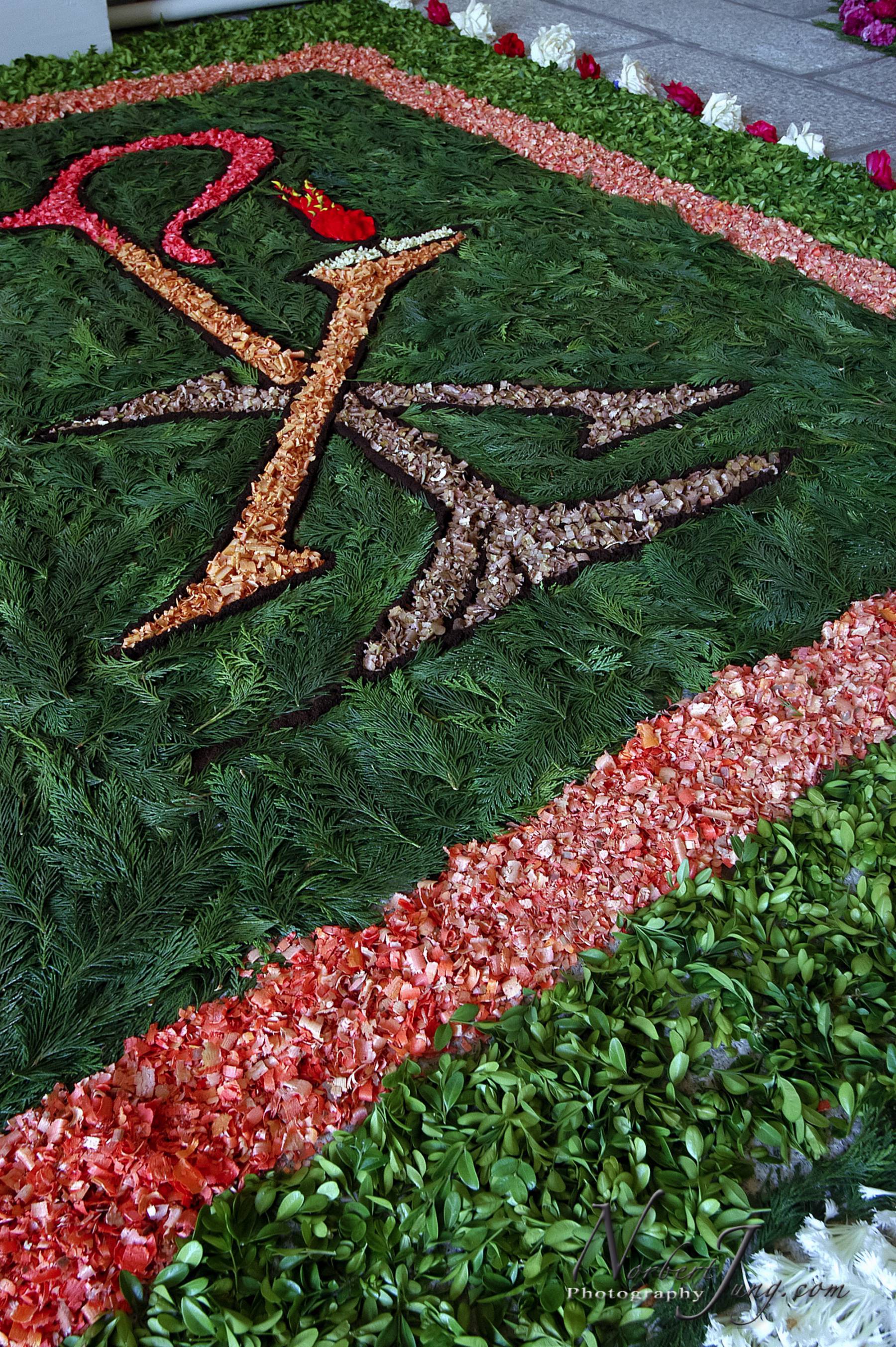 Nom de l'image : D1144146-01a_(c)www.Norbert-JUNG-com-Photographe — Description :