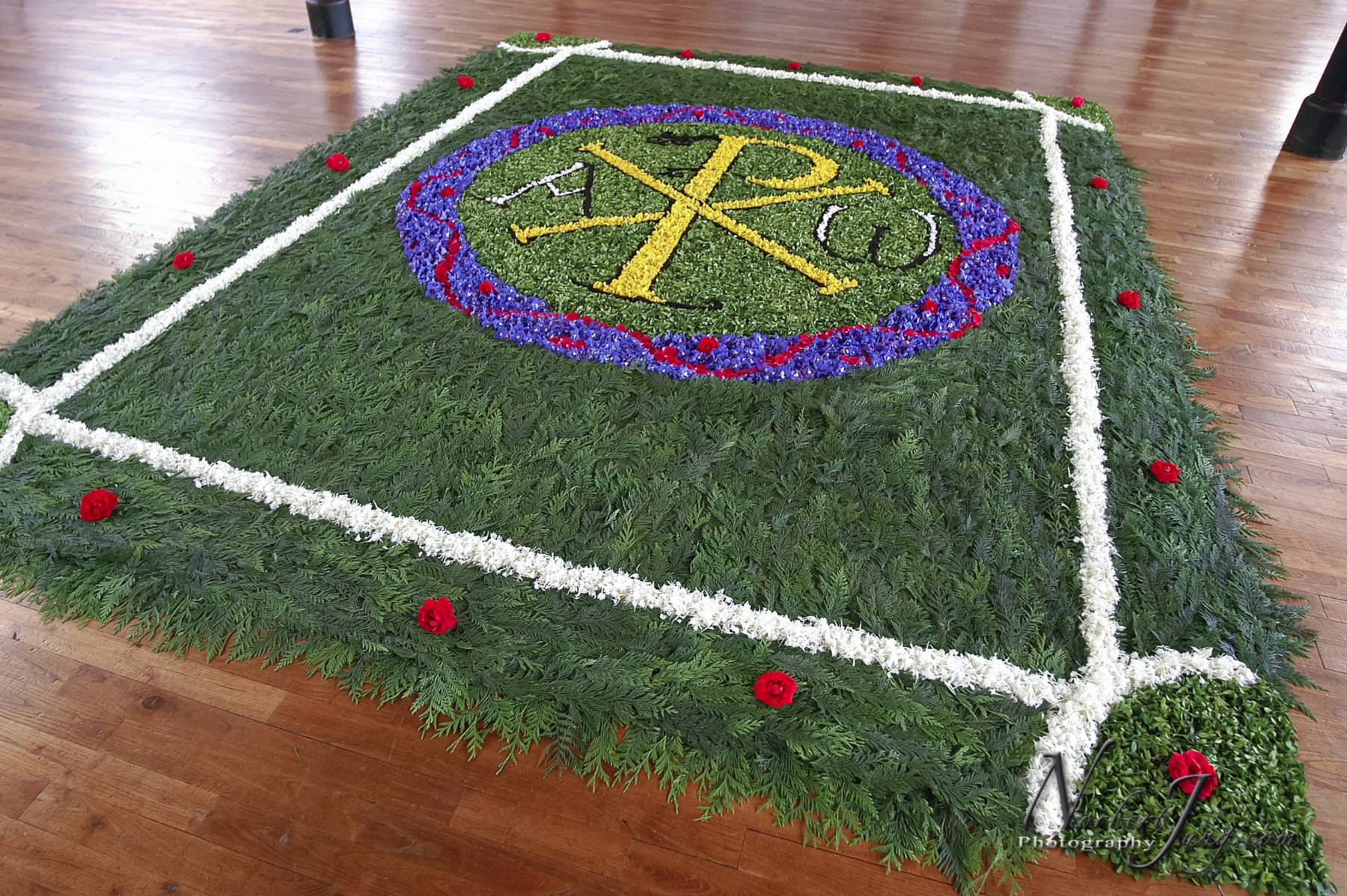 Nom de l'image : D1144151-01a_(c)www.Norbert-JUNG-com-Photographe — Description :