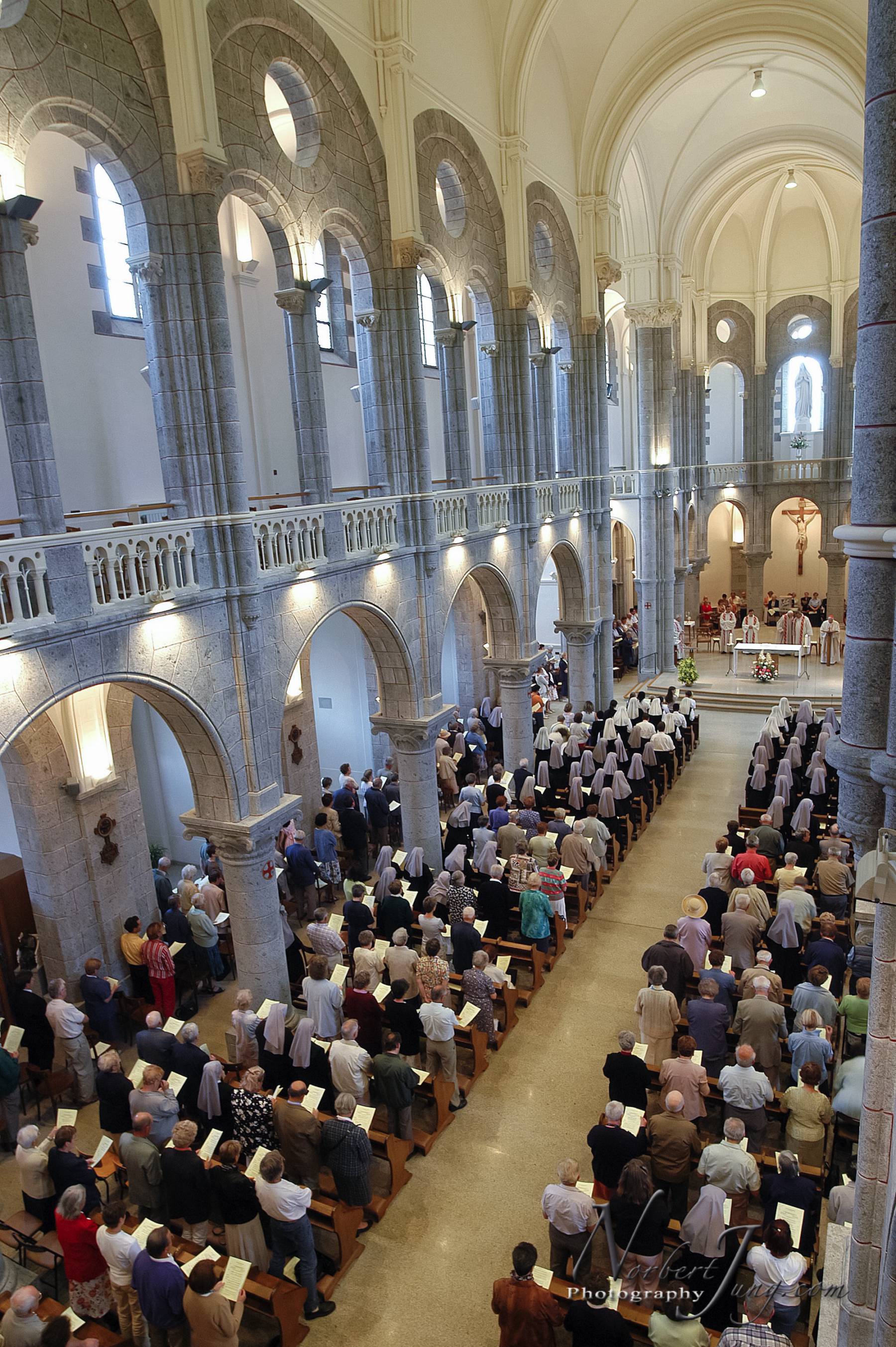 Nom de l'image : D1144162-01a_(c)www.Norbert-JUNG-com-Photographe — Description :