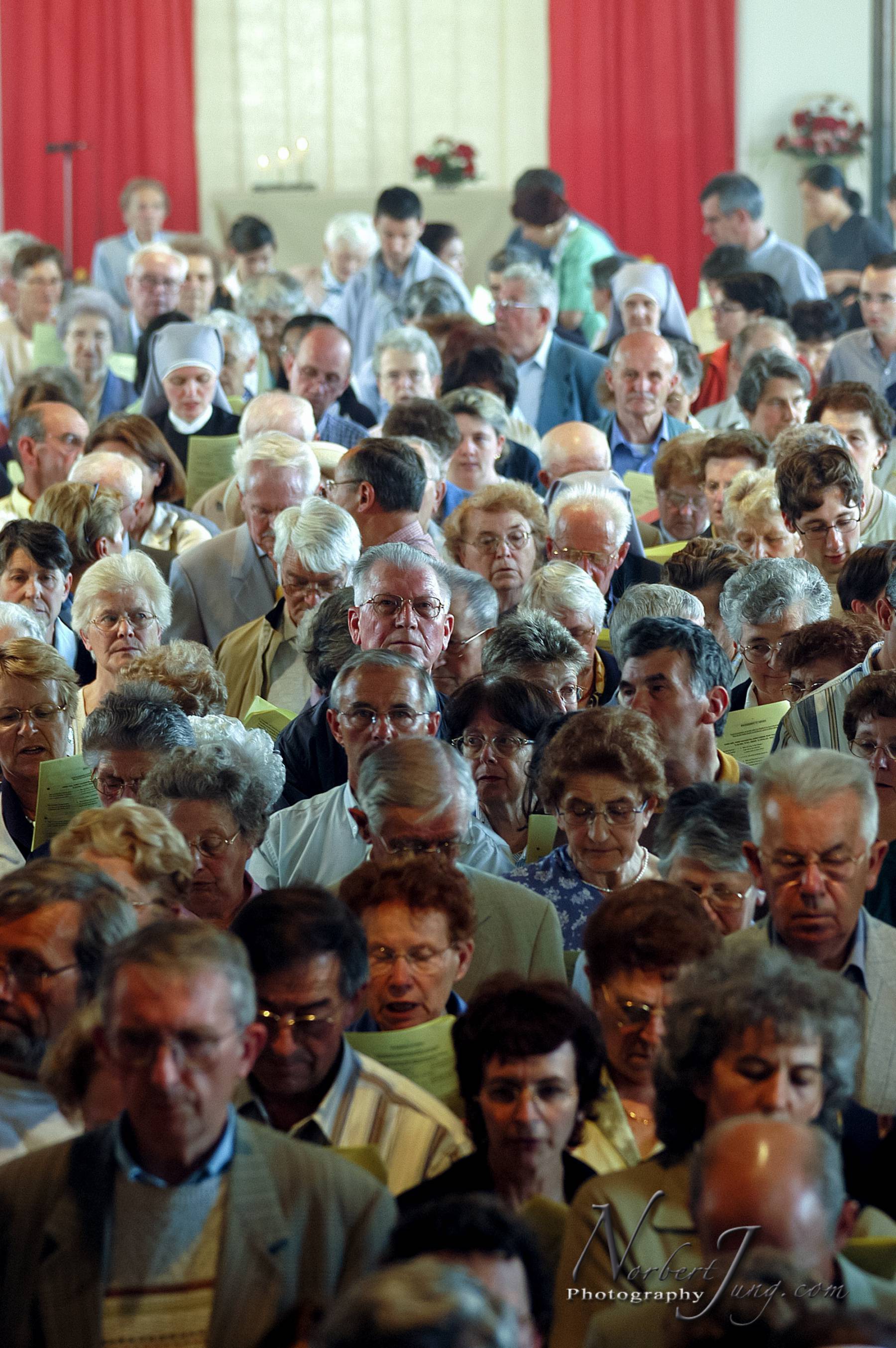 Nom de l'image : D1144350-01a_(c)www.Norbert-JUNG-com-Photographe — Description :