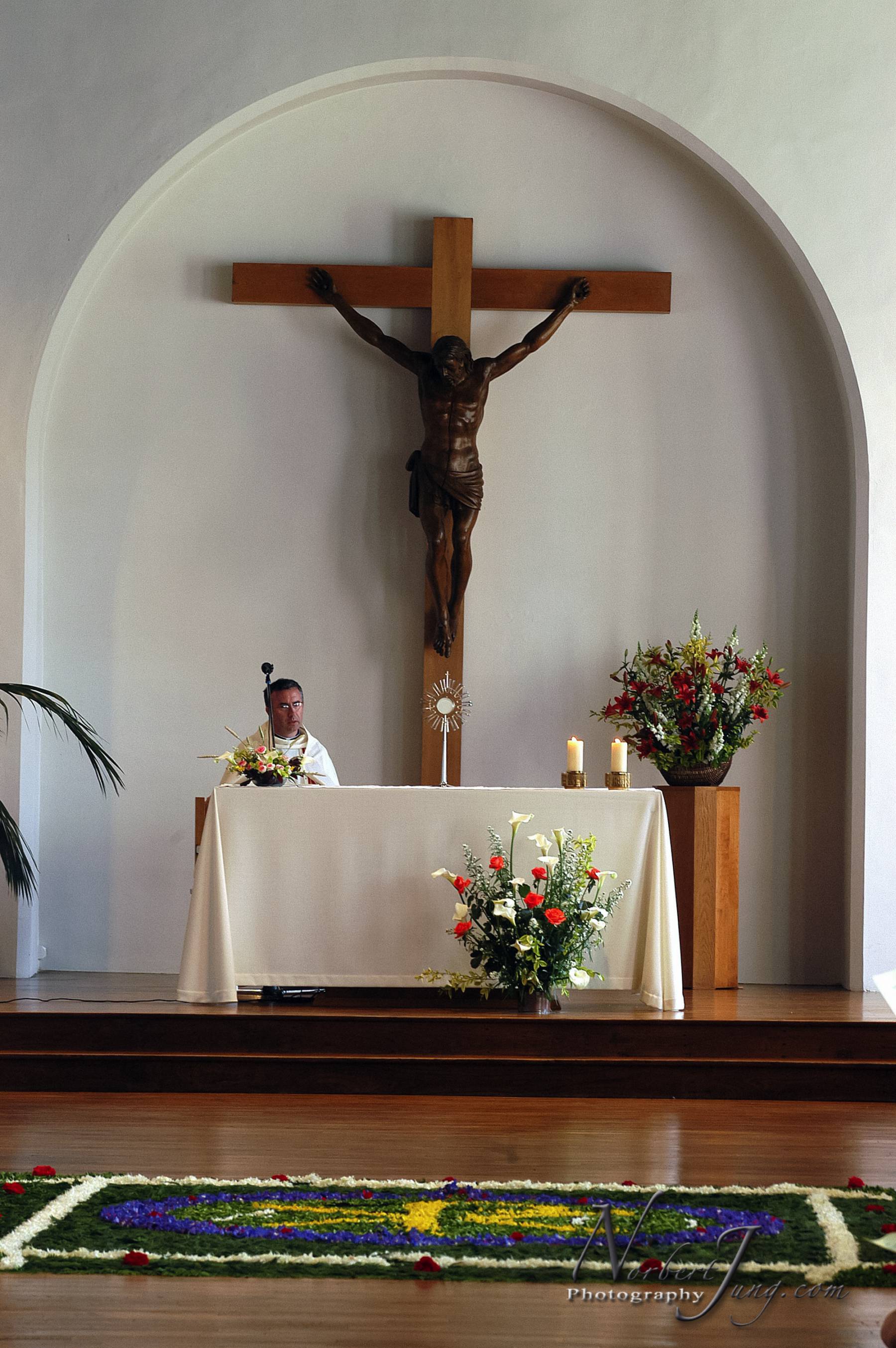 Nom de l'image : D1144374-01a_(c)www.Norbert-JUNG-com-Photographe — Description :