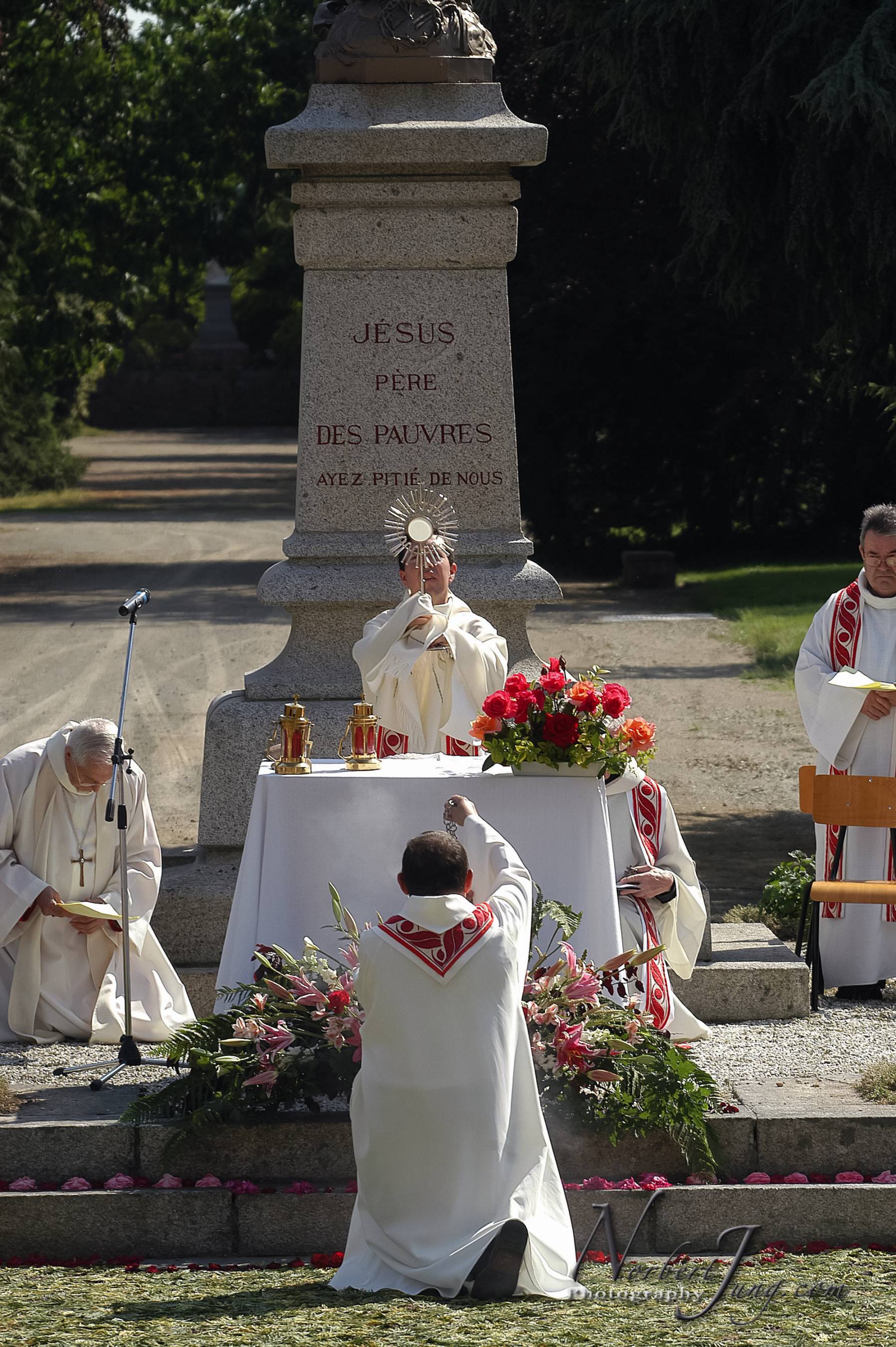 Nom de l'image : D1144527-01a_(c)www.Norbert-JUNG-com-Photographe — Description :
