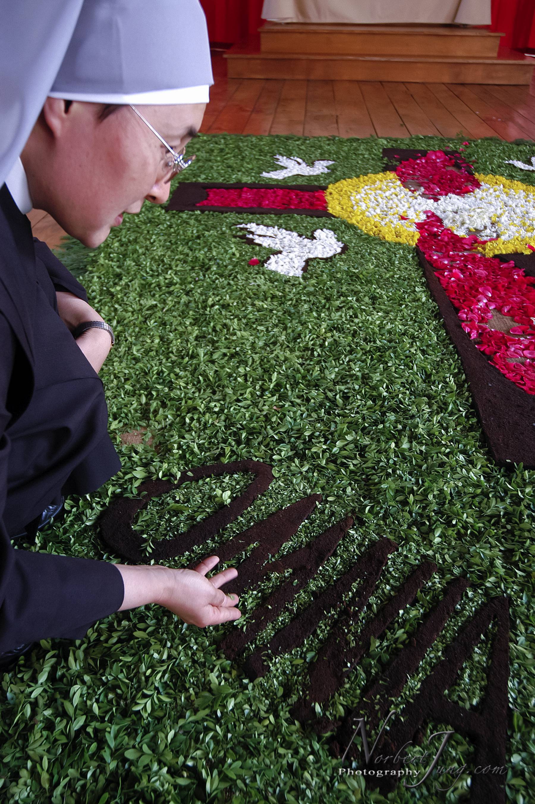 Nom de l'image : D1144631-01a_(c)www.Norbert-JUNG-com-Photographe — Description :