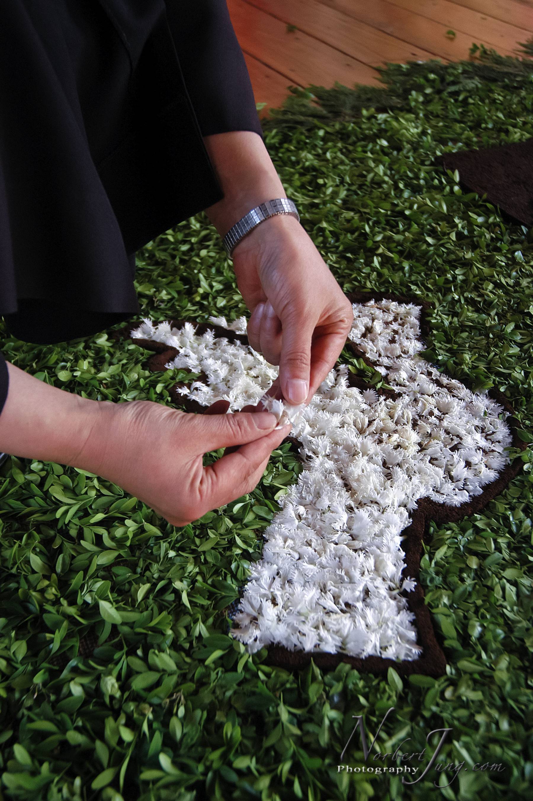 Nom de l'image : D1144643-01a_(c)www.Norbert-JUNG-com-Photographe — Description :