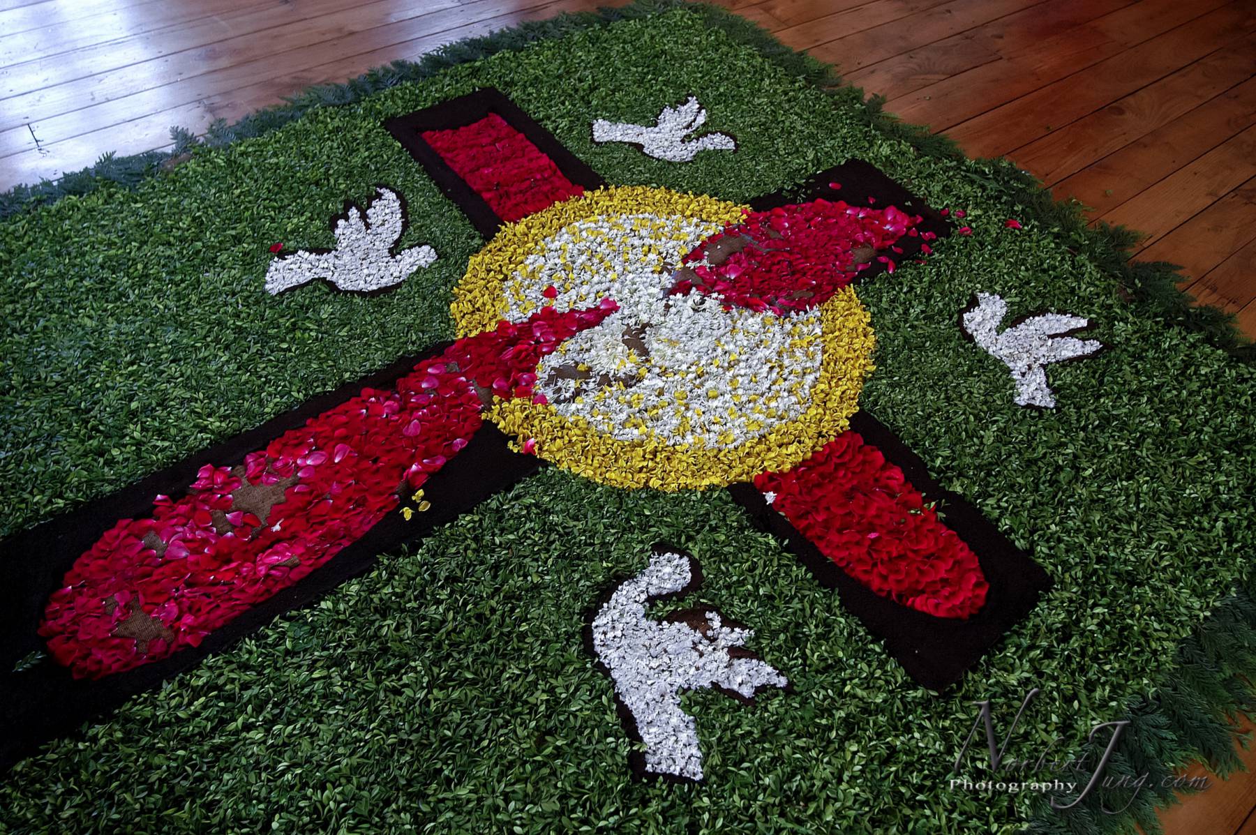 Nom de l'image : D1144678-01a_(c)www.Norbert-JUNG-com-Photographe — Description :