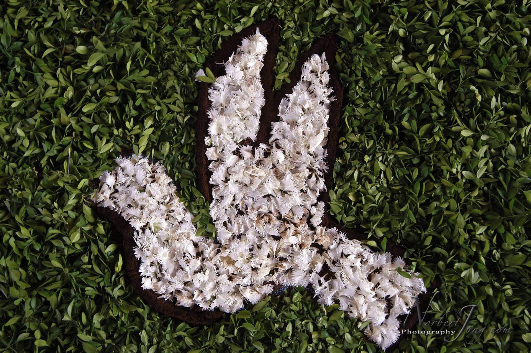 Nom de l'image : D1144680-01a_(c)www.Norbert-JUNG-com-Photographe — Description :