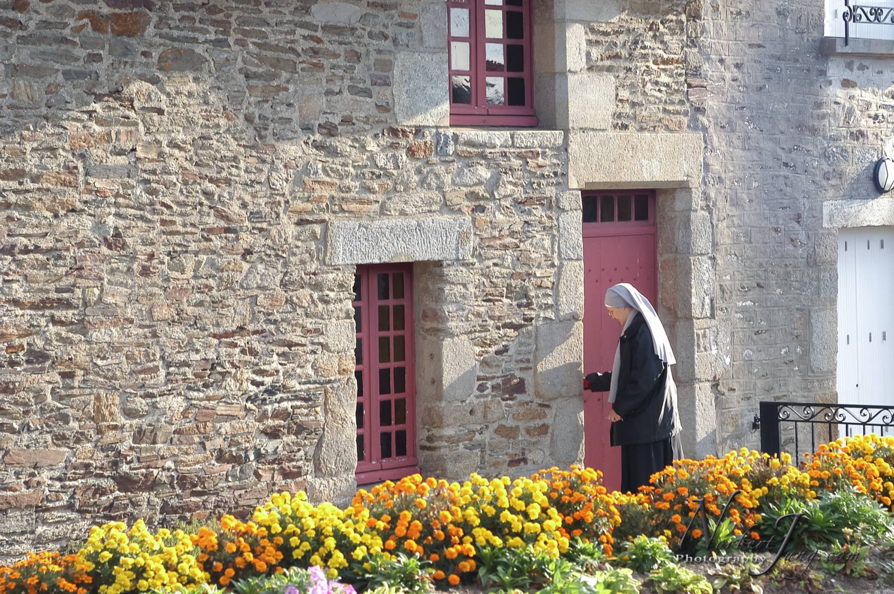 Nom de l'image : E00011404-01a_(c)www.Norbert-JUNG-com-Photographe — Description :