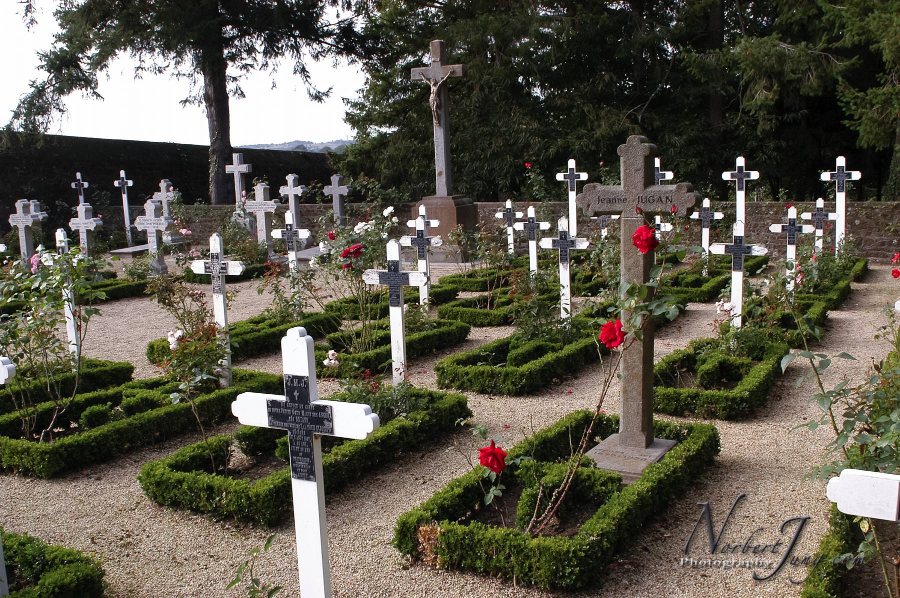 Nom de l'image : E00011645-01a_(c)www.Norbert-JUNG-com-Photographe — Description :