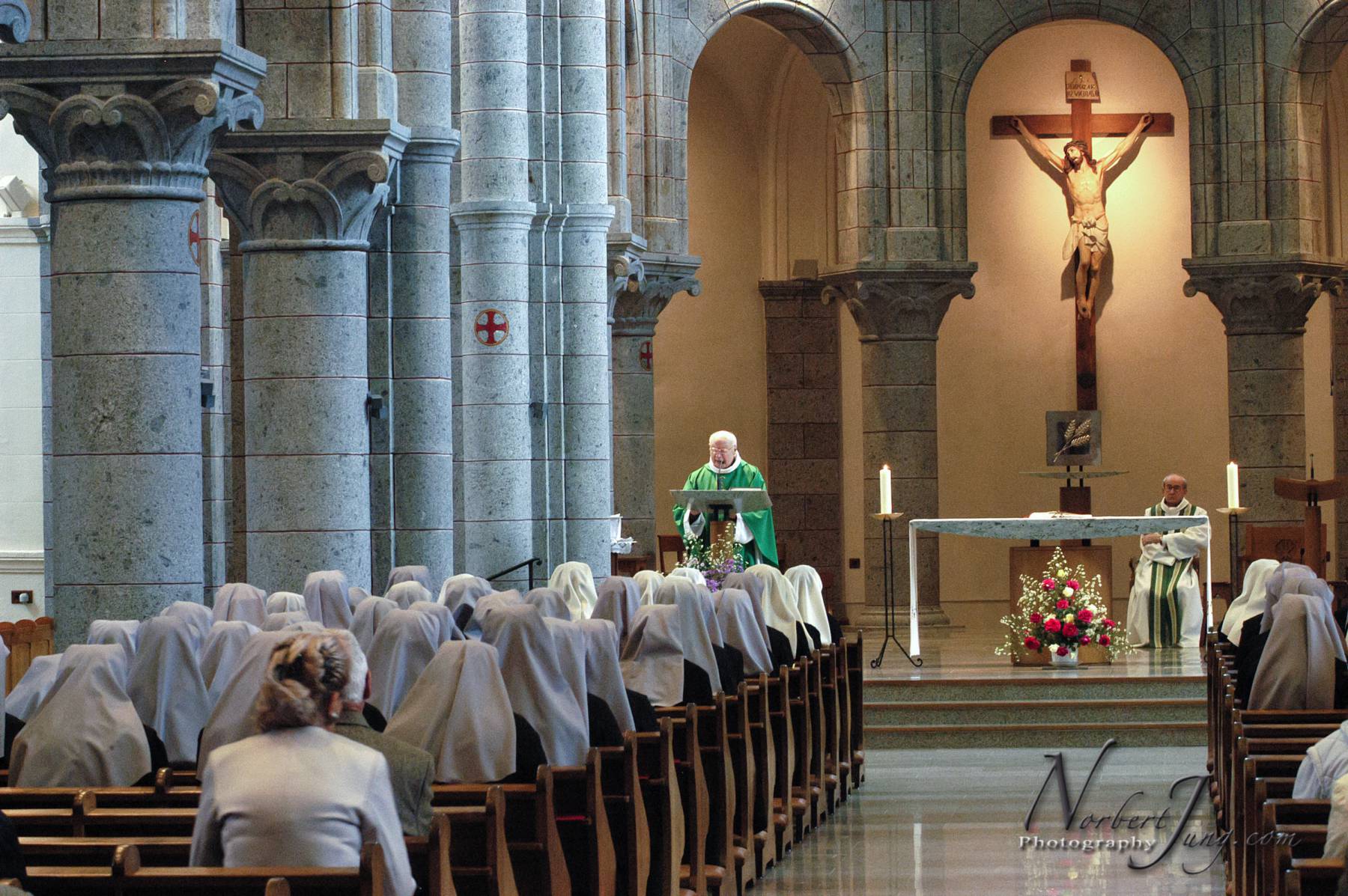 Nom de l'image : E00012011-01a_(c)www.Norbert-JUNG-com-Photographe — Description :