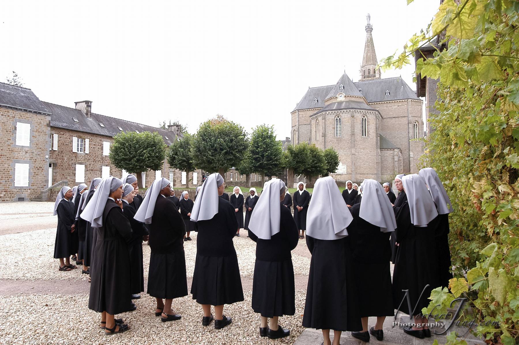 Nom de l'image : E00012098-01a_(c)www.Norbert-JUNG-com-Photographe — Description :