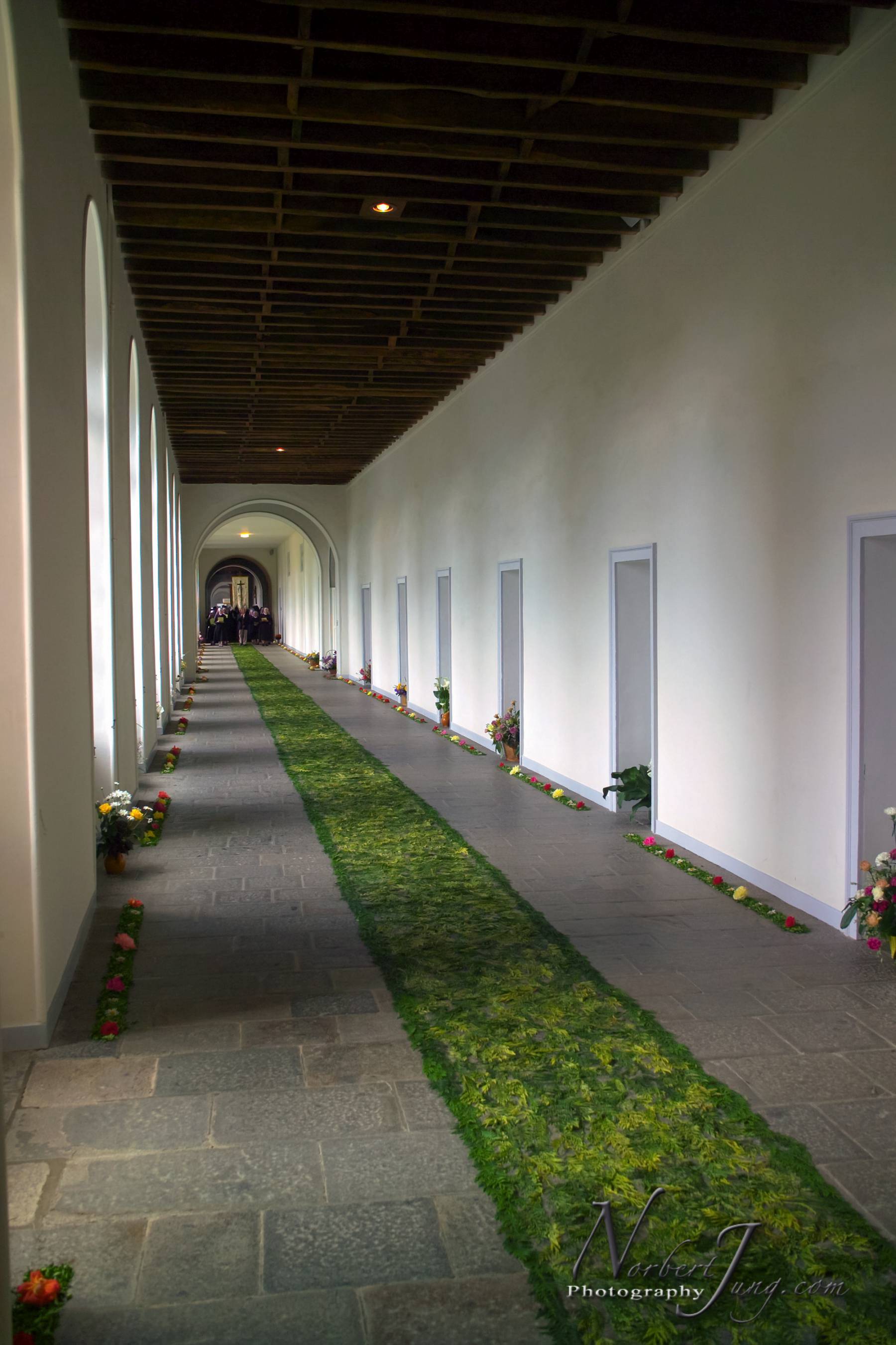 Nom de l'image : K1002526-01a_(c)www.Norbert-JUNG-com-Photographe — Description :