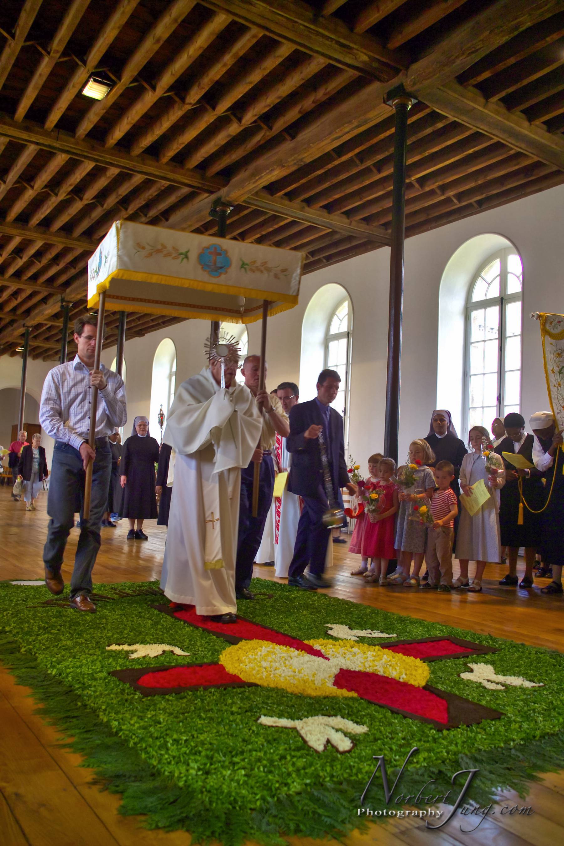 Nom de l'image : K1002546-01a_(c)www.Norbert-JUNG-com-Photographe — Description :