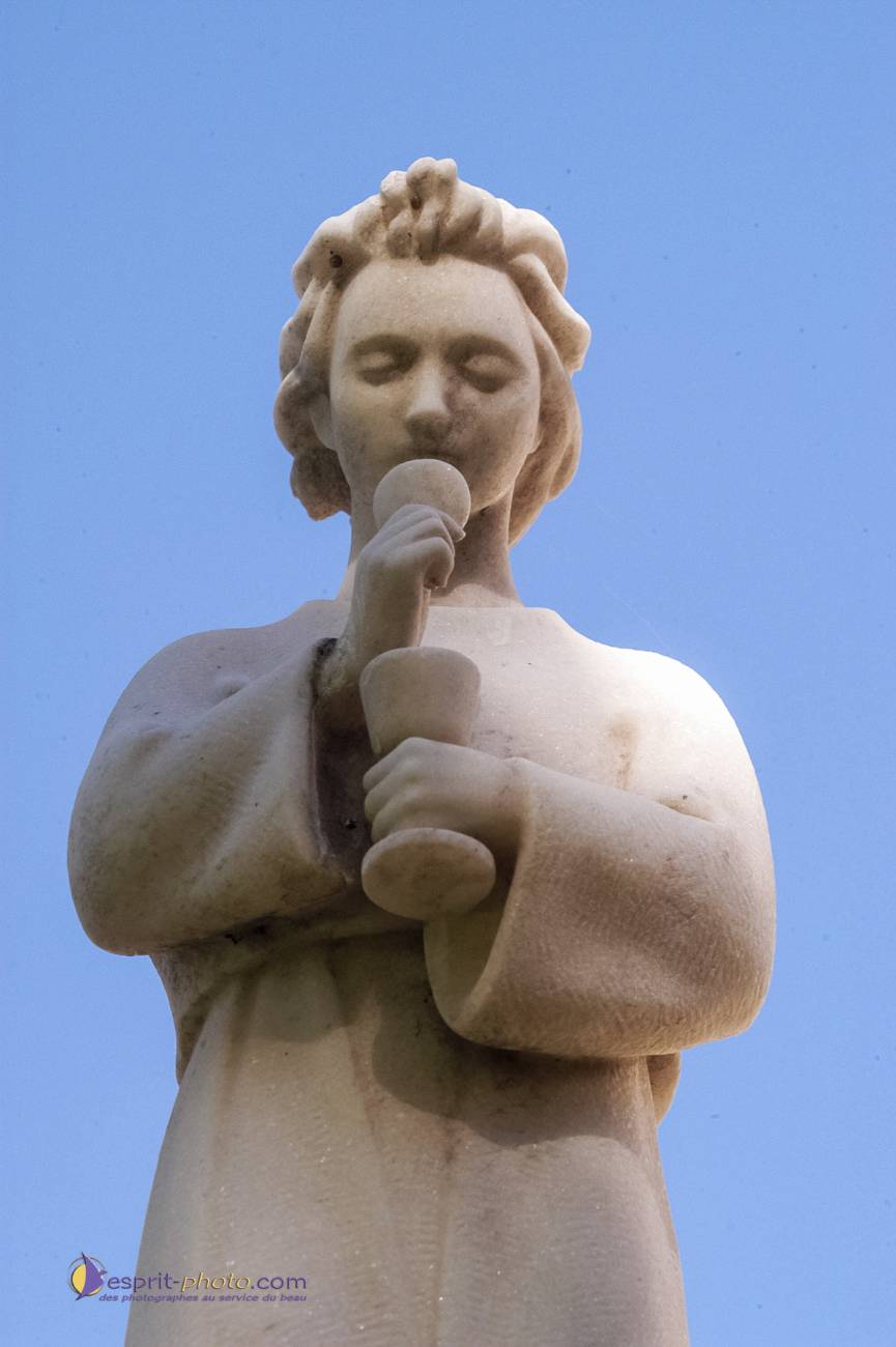 Nom de l'image : D1071002_c_Photographie.Pro — Description :