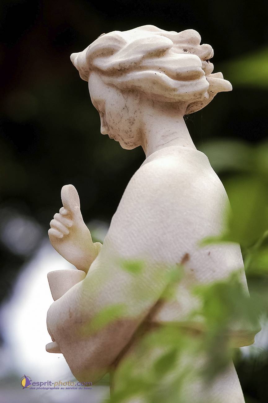 Nom de l'image : D1155449-01_c_Photographie.Pro — Description :