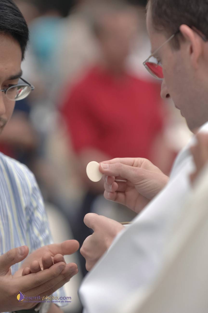 Nom de l'image : D2171025_1_c_Photographie.Pro — Description :  Ordination sacerdotale - ND de Paris - 24 juin 2006