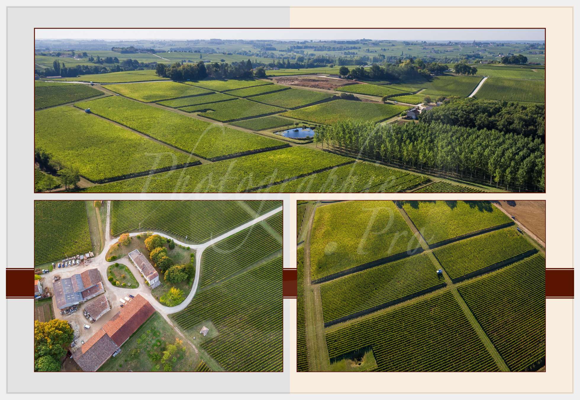 Nom de l'image : Livre-Vendanges-Corbin-2016_p03_c_Photographie.Pro — Description :