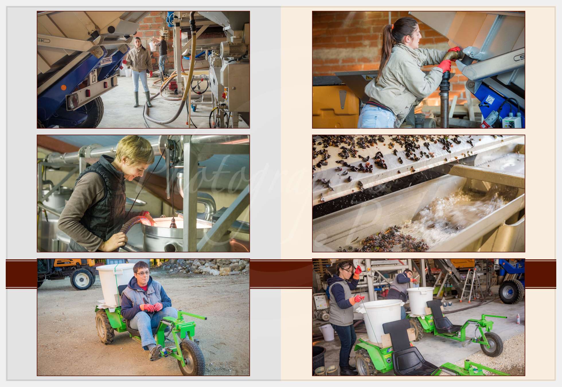 Nom de l'image : Livre-Vendanges-Corbin-2016_p07_c_Photographie.Pro — Description :