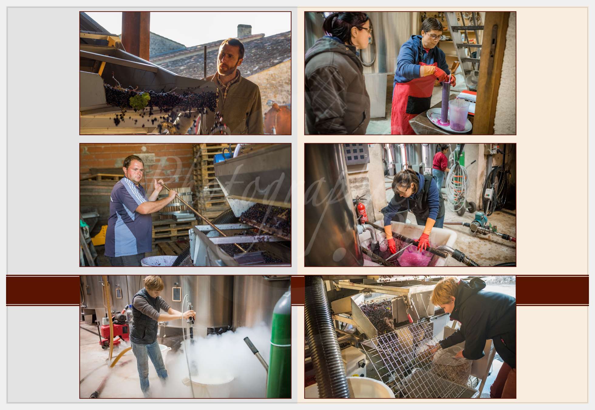 Nom de l'image : Livre-Vendanges-Corbin-2016_p12_c_Photographie.Pro — Description :